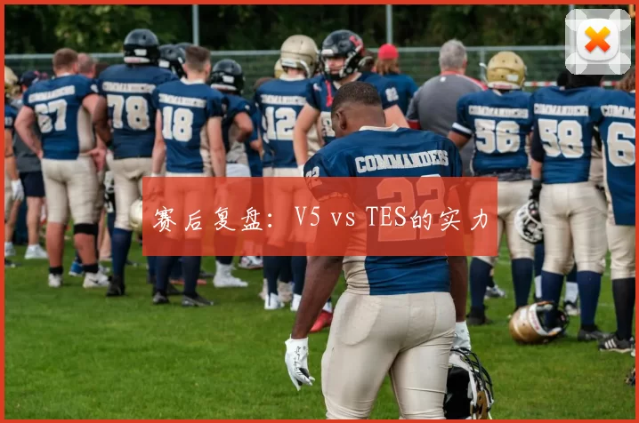赛后复盘：V5 vs TES的实力