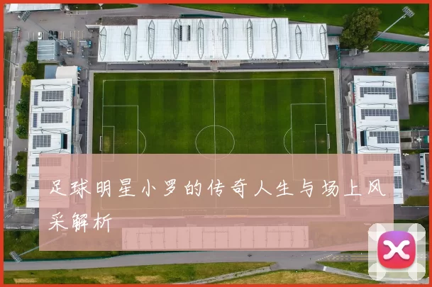 足球明星小罗的传奇人生与场上风采解析