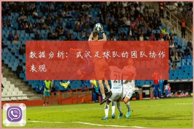 数据分析：武汉足球队的团队协作表现